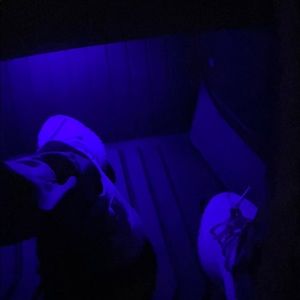 Meet your Posher, Ryan